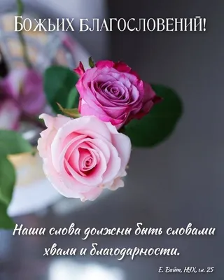 Пин от пользователя Татьяна Вахрушева на доске с днём рождения |  Христианские цитаты, Христианские картинки, Благословение