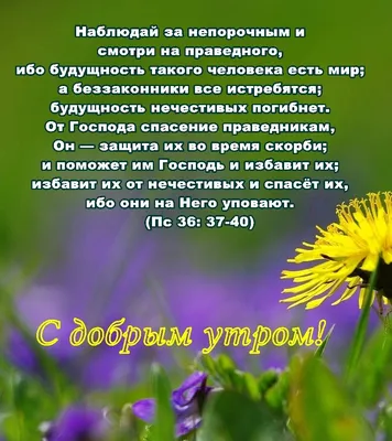 Надежда наша Христос! | Христианские открытки | Дзен