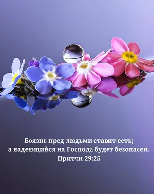 Надежда наша Христос! | Христианские открытки | Дзен