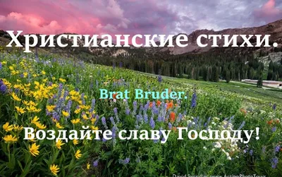 Отзывы о книге «Поговори сегодня с Богом! Христианские стихи», рецензии на  книгу Светланы Владимировны Фединой, рейтинг в библиотеке Литрес