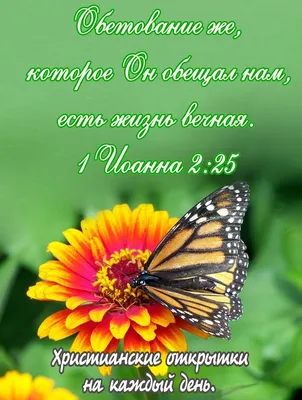 Коллекция христианских открыток | ВКонтакте | Христианские цитаты,  Христианские картинки, Библейские цитаты