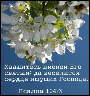 Коллекция христианских открыток | ВКонтакте | Христианские картинки,  Библейские стихи, Духовные цитаты