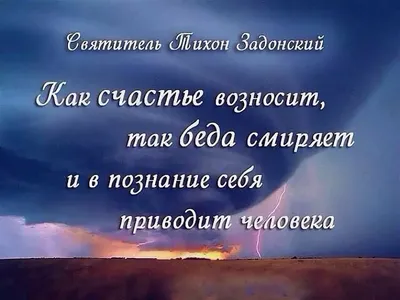 Когда братья ненавидят друг друга — это самая ужасная ненависть», — мудрые  цитаты митрополита Амфилохия Черногорского и Приморского - Православный  журнал «Фома»