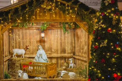 Отметим Рождество счастливо! Традиции и православные блюда в зимние  христианские праздники | Святая помощь. | Дзен