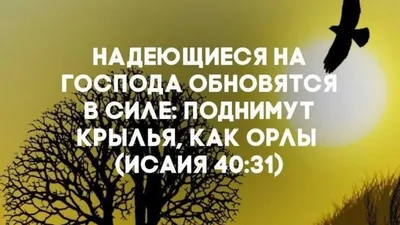 Новые христианские открытки с пожеланиями и цитатами. | Христианские  открытки | Дзен