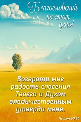 Картинки библия на каждый день (48 фото) » Юмор, позитив и много смешных  картинок
