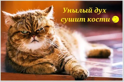 Христианские открытки о добре - 74 фото