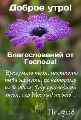 Библейские фото цитаты - От Луки стихи Библии - Скачать бесплатно  Библейские картинки - Библейские, Христианские картинки и фото цитаты онлайн