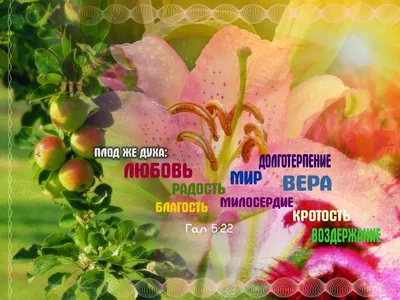 Христианская мудрость в картинках! Фото