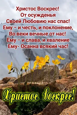 Valeriya_Ukraine on X: \"Христос Воскрес! З Великоднем! Happy ortodoxal  Easter from Ukraine! https://t.co/F3w35MRMVv\" / X