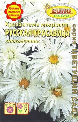 Хризантема, Chrysanthemum - цветы для сада на портале \"Ваш Сад\"