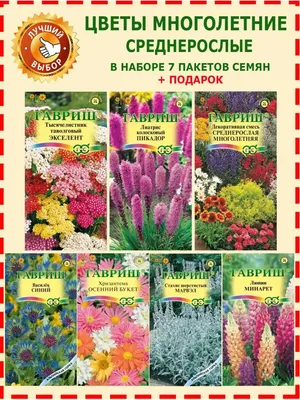 Астра альпийская Сапфировые бусы, смесь окрасок 0,1г, семена | Купить в  интернет магазине Аэлита