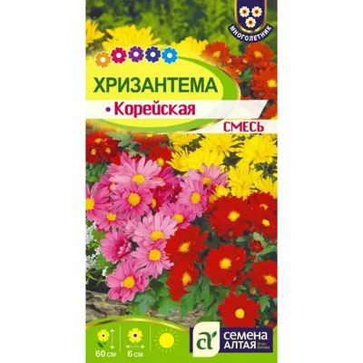 Хризантемы однолетние Агрофирма Аэлита Цветы - купить по выгодным ценам в  интернет-магазине OZON (588087115)