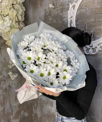 Хризантемы Бакарди в упаковке - заказать в интернет-магазине «La Bouquet»