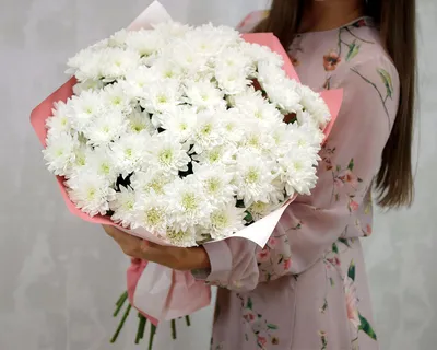 Срезанные цветы: Хризантема куст. Балтика белая