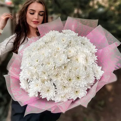 Хризантема шаровидная белая купить в Москве недорого.