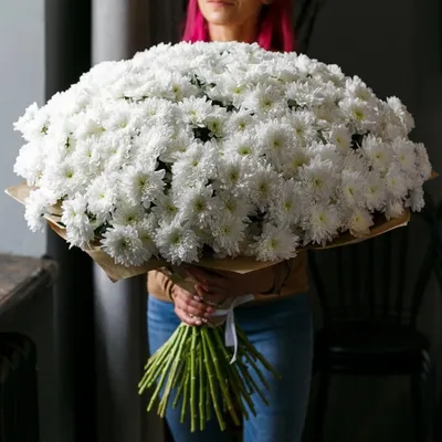 Купить Хризантема одноголовая Анастасия белая в интернет-магазине Вам  Букет! | Доставка по Ростовской области и РФ
