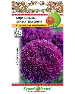 Купить Букет из 7 больших хризантем с доставкой по Томску: цена, фото,  отзывы.