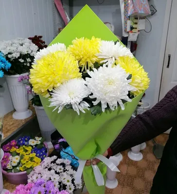 Купить белую одноголовую хризантему в Минске | DI-Flowers.by