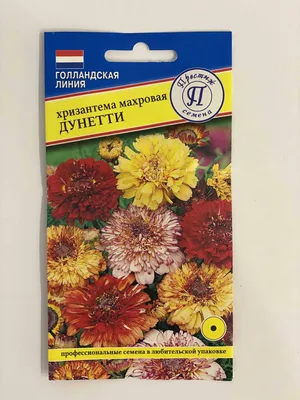 Хризантема Дунетти, смесь окрасок 0,3г, семена | Купить в интернет магазине  Аэлита