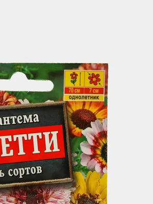 Гавриш Хризантема махровая Дунетти однолетник цветы для сада дачи