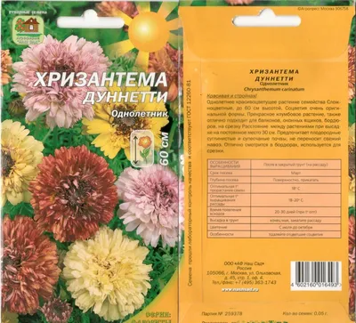 Семена цветы \"Хризантема Дунетти\" купить по цене 49 ₽ в интернет-магазине  KazanExpress