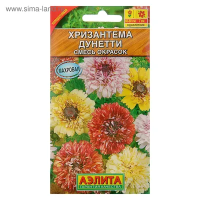 Хризантема Дунетти смесь сортов (семена) купить по цене 48 ₽ в  интернет-магазине KazanExpress