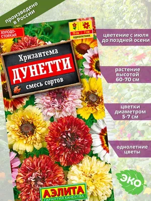 Хризантема Дунетти смесь сортов (семена) купить по цене 48 ₽ в  интернет-магазине KazanExpress