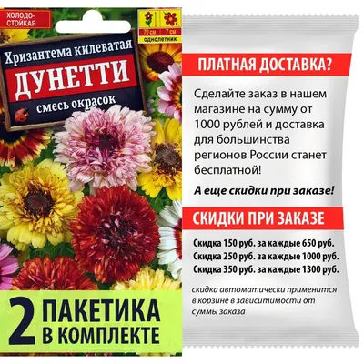 Хризантема Махровая, смесь окрасок – купить в питомнике \"КСП\" с доставкой  по России