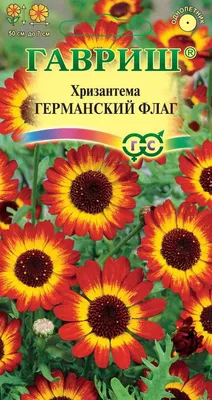 Хризантемы однолетние Гавриш цветы3 - купить по выгодным ценам в  интернет-магазине OZON (835696605)