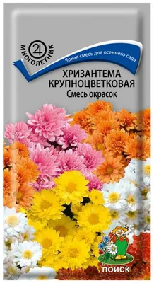 Хризантема Германский флаг Гавриш - купить семена в интернет-магазине