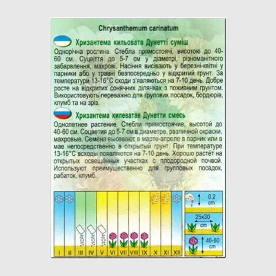 Хризантема девичья Голден бол Агрофирма Поиск - купить семена в  интернет-магазине