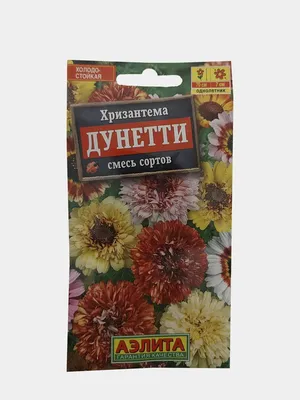 Многолетняя Хризантема – купить в интернет-магазине OZON по низкой цене