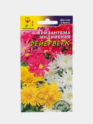 Русский Огород Цветы Хризантема индийская Индикум смесь