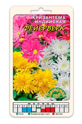 Хризантема индийская микс 17x17 см по цене 520 ₽/шт. купить в Москве в  интернет-магазине Леруа Мерлен