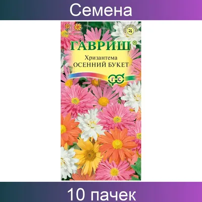 Впервые Центральный ботанический сад организует в Минске выставку индийской  хризантемы - Журнал Хозяин