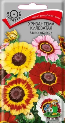 Купить Хризантема килеватая Смесь окрасок (поиск) 0,3гр от