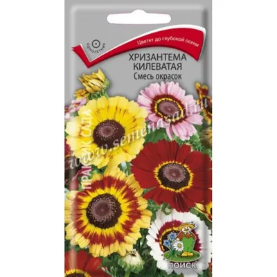Купить Хризантема Килеватая смесь 0,3г