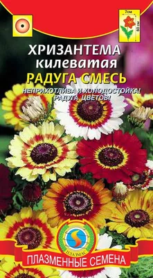 Купить семена Хризантема килеватая Радуга смесь ПЛ по цене от 21 руб