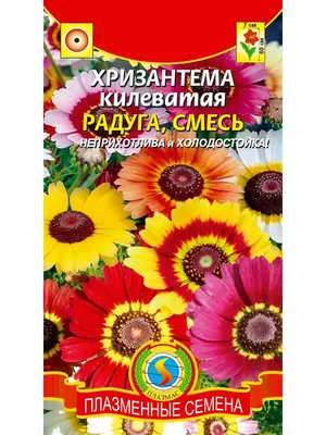 Семена Хризантема килеватая Радуга смесь Плазменные семена 16431194 купить  в интернет-магазине Wildberries