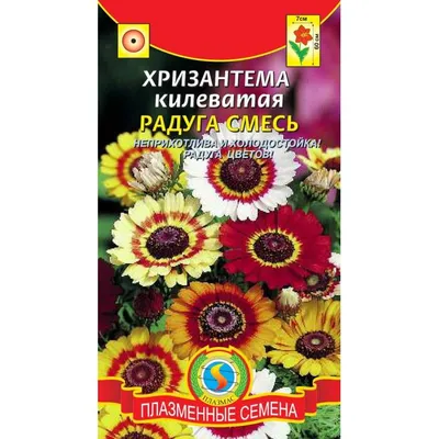 Купить семена: Хризантема килеватая Радуга - цены,фото,отзывы |  Green-Club.com.ua