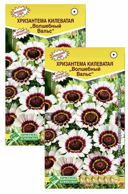 Хризантема килеватая волшебный вальс, 2 пакета, семена 0,2 гр, Евросемена —  купить в интернет-магазине по низкой цене на Яндекс Маркете