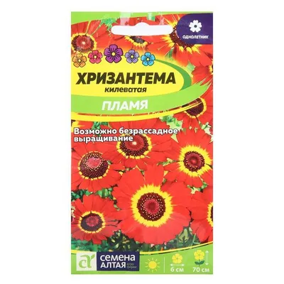 Хризантема килеватая махровая Семена Украины - купить Семена Цветов по  самой доступной цене с доставкой по всей Украине - Агромагазин “Фазенда”