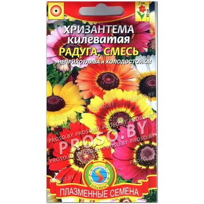 Купить семена: Хризантема килеватая Дунетти смесь - цены,фото,отзывы |  Green-Club.com.ua