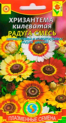 Хризантема килеватая (однолетняя)