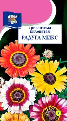 Купить семена Хризантема килеватая Радуга, смесь в Минске и почтой по  Беларуси