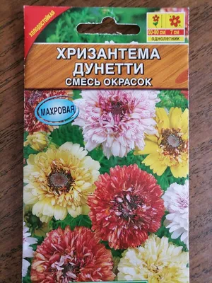 Семена цветов Хризантема Килеватая \"Фруктовый букет\" смесь, 0,3 г  (10290005) - Купить по цене от 15.80 руб. | Интернет магазин SIMA-LAND.RU