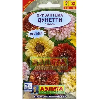 Семена цветов Хризантема килеватая Смесь окрасок для клумб ПОИСК 61852010  купить в интернет-магазине Wildberries