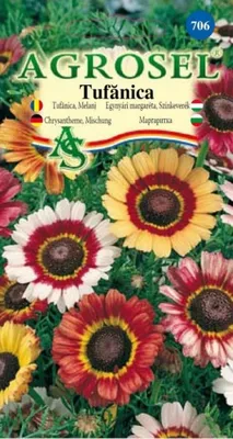 Хризантема Пламя килеватая 0,1 г купить недорого в интернет-магазине  товаров для сада Бауцентр