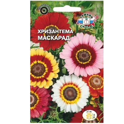 Хризантема Килеватая смесь окрасок